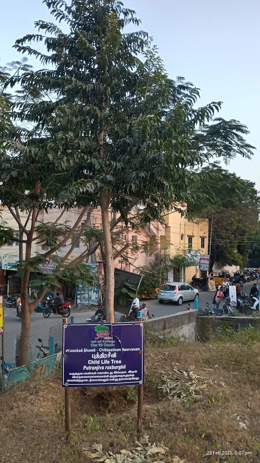 Chitlapakkam Neer Vanam