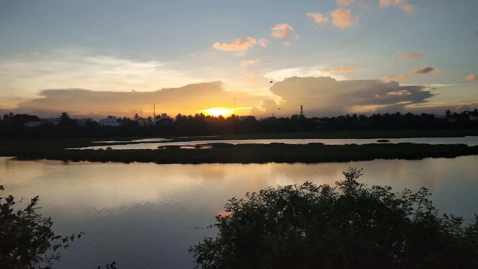 Chitlapakkam Neer Vanam