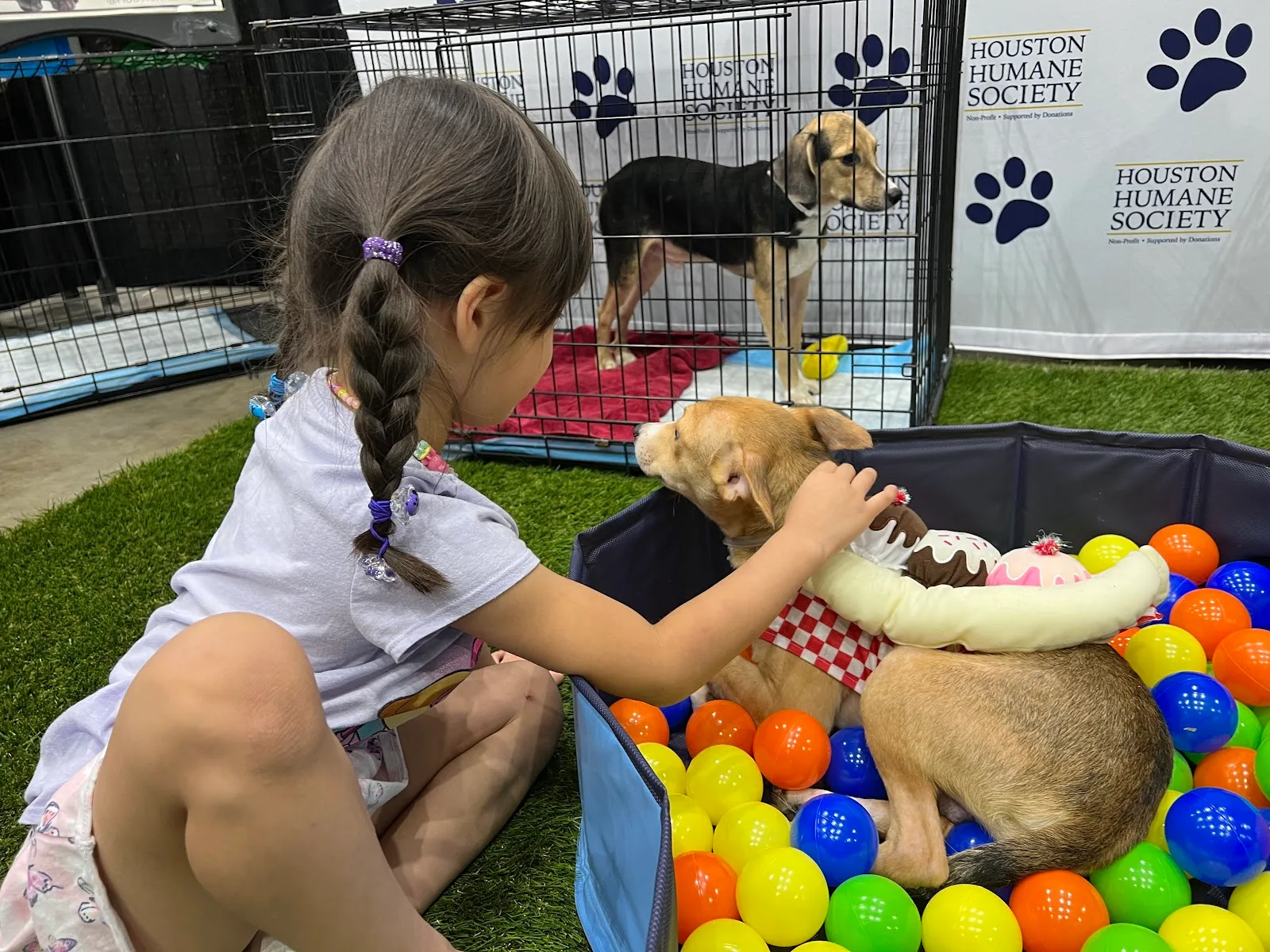 Houston Humane Society