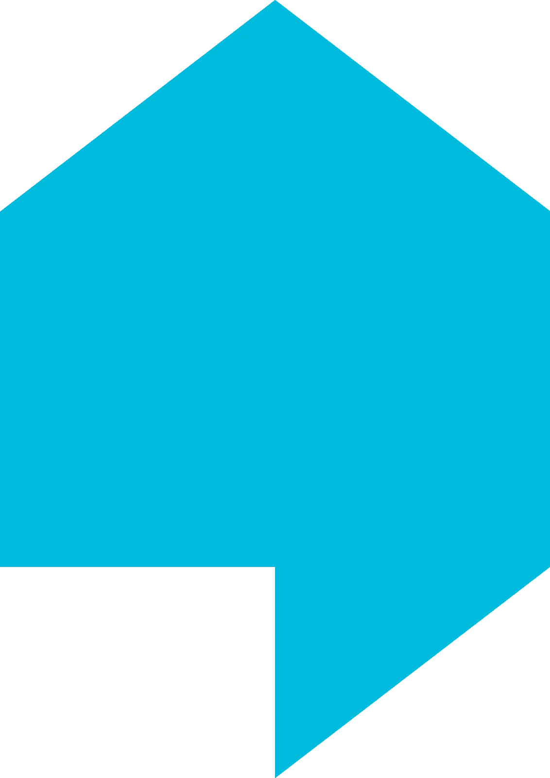 Eva's Initiatives for Homeless Youth