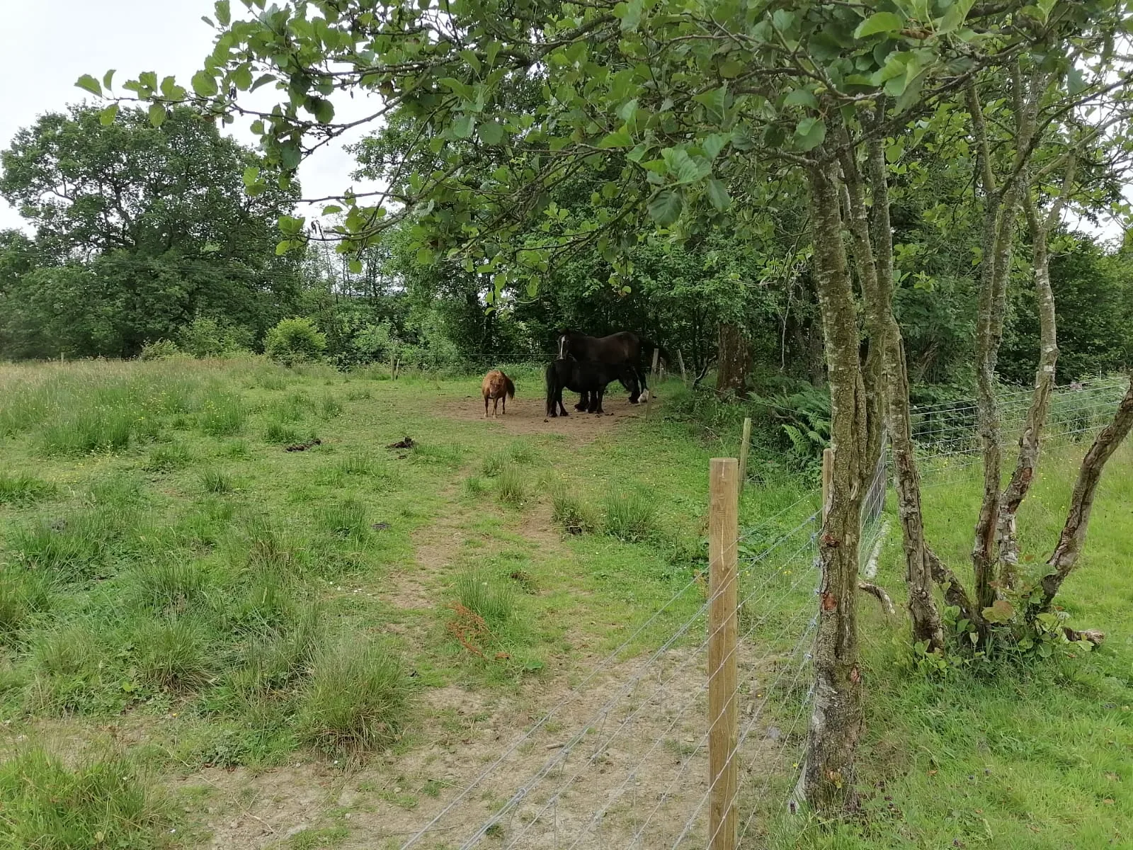 Glendrick Roost Animal Welfare Centre