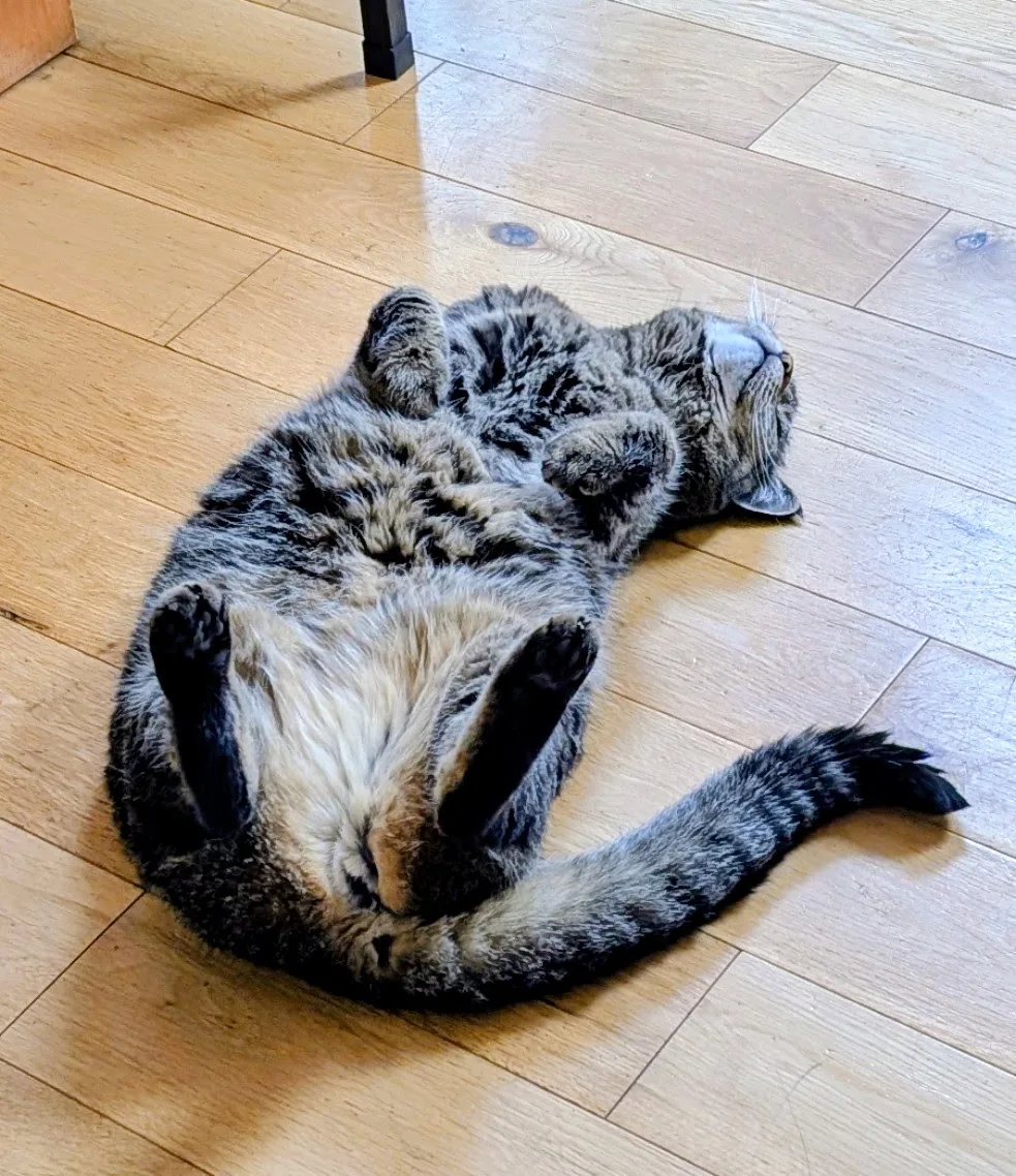 BC SPCA West Vancouver