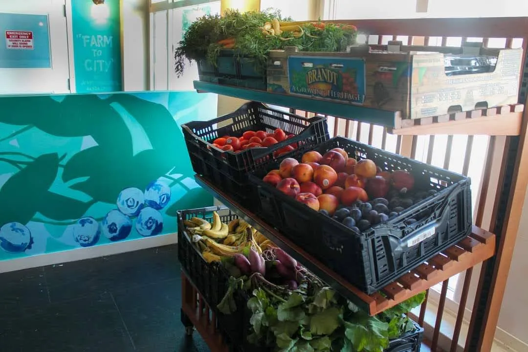 Food Stash Foundation