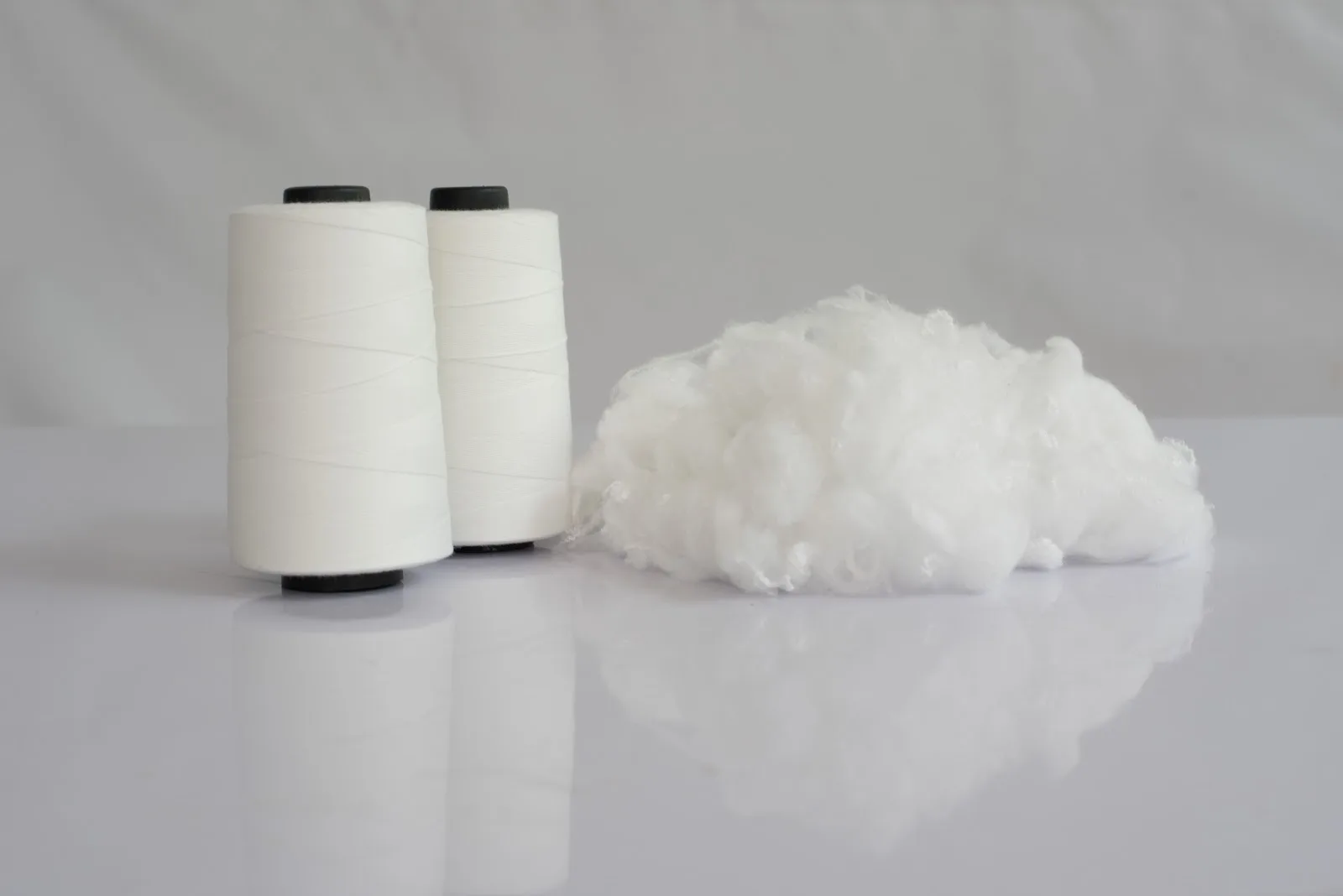 BLS Ecotech Ltd.