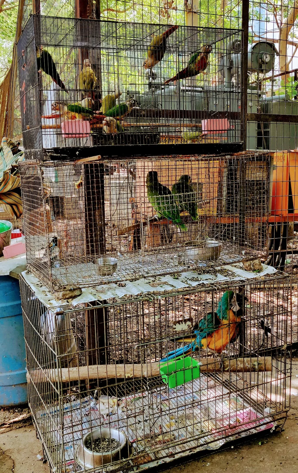 Pet Centre