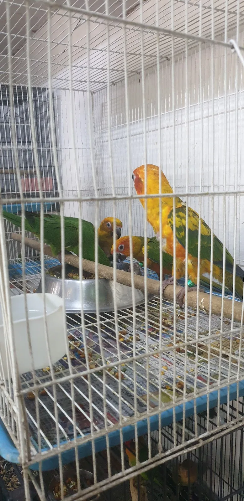 Pet Centre