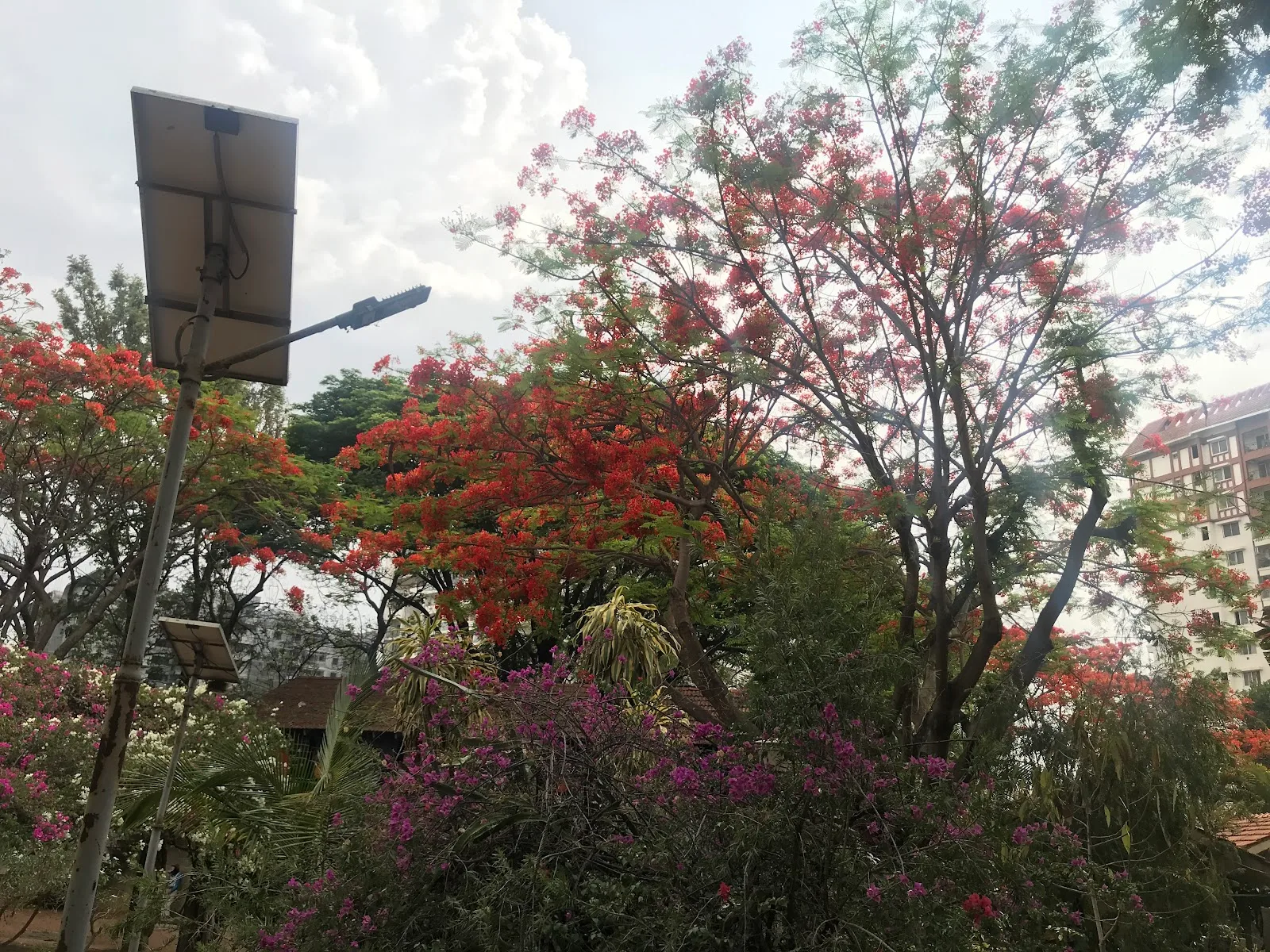 SOS Children's Village Bangalore