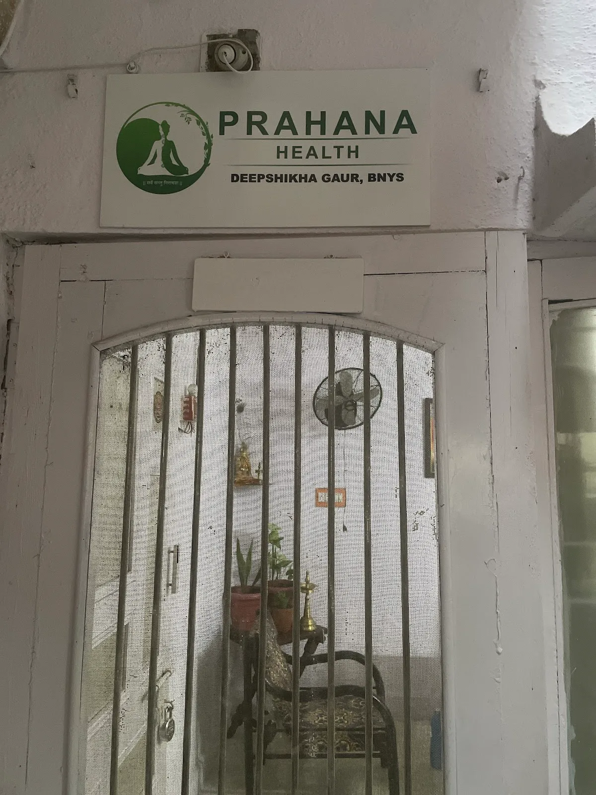Prahana Health - Dr. Deepshikha Gaur, BNYS