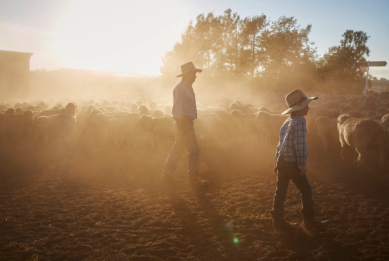 NSW Farmers