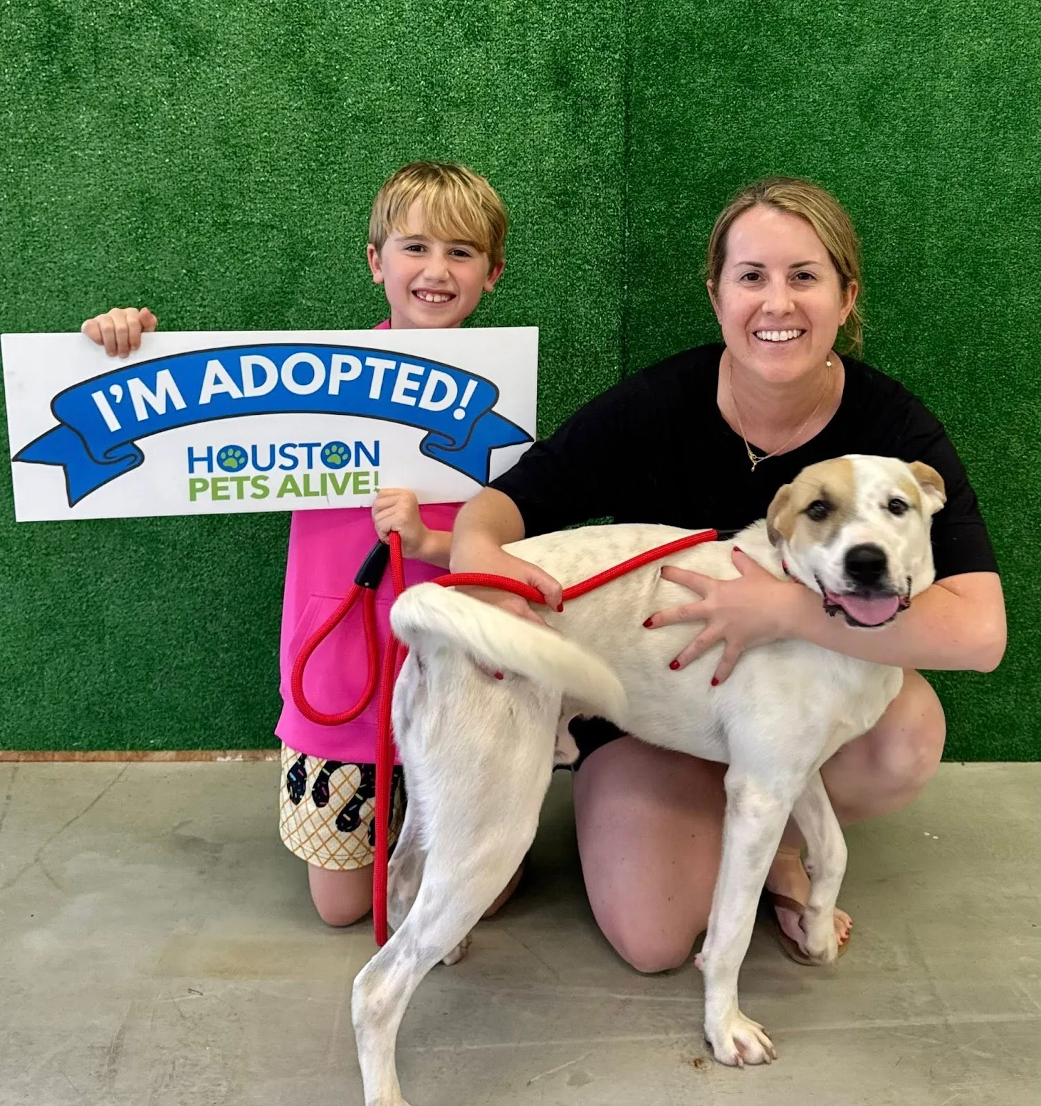 Houston Pets Alive!