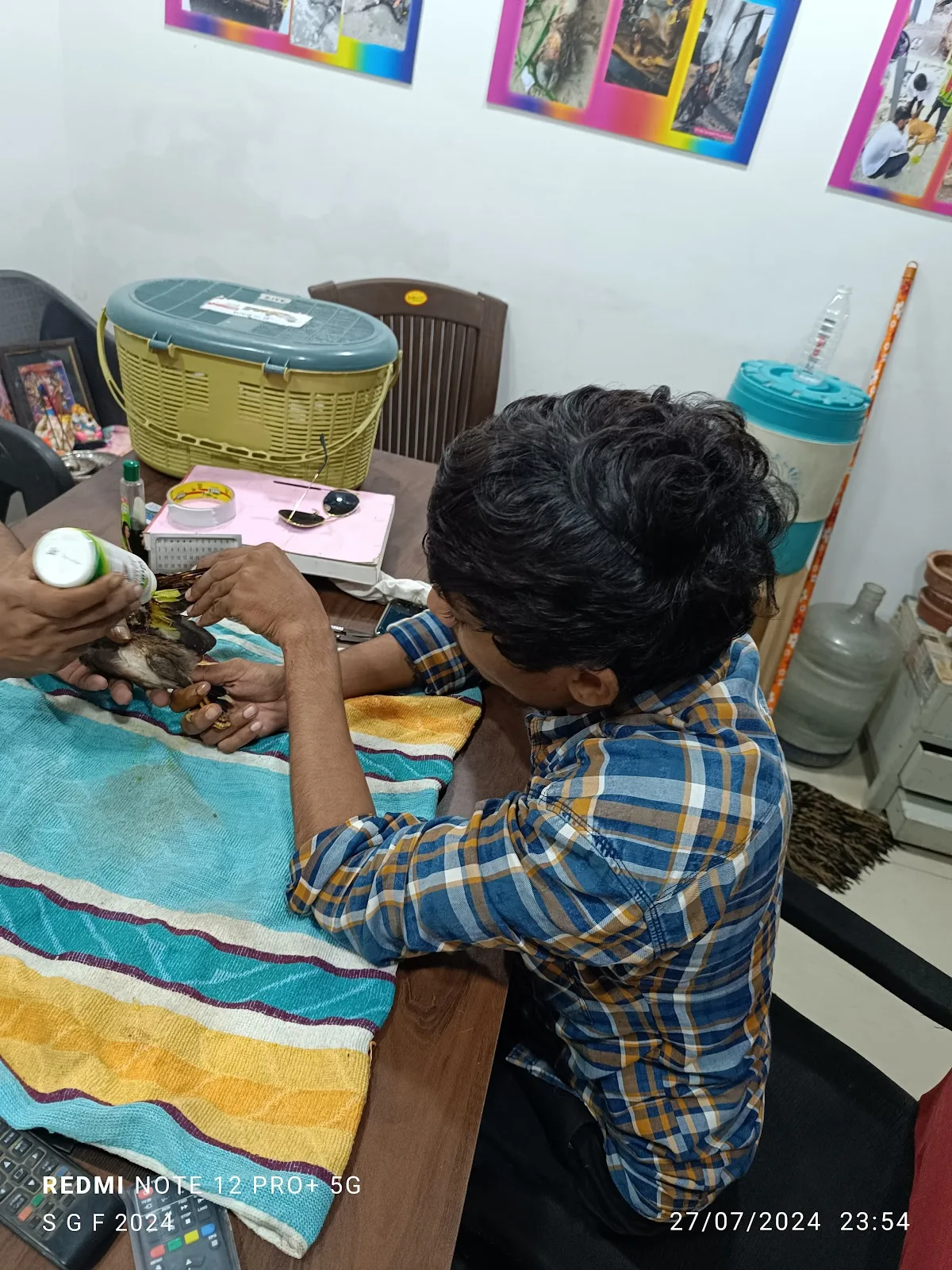 Shree Ganesh Foundation Bird Helpline