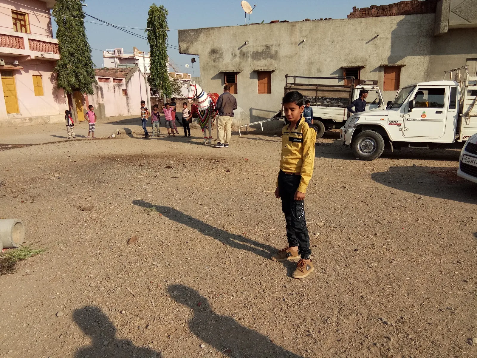 Shree Makhavad Gau Seva Trust