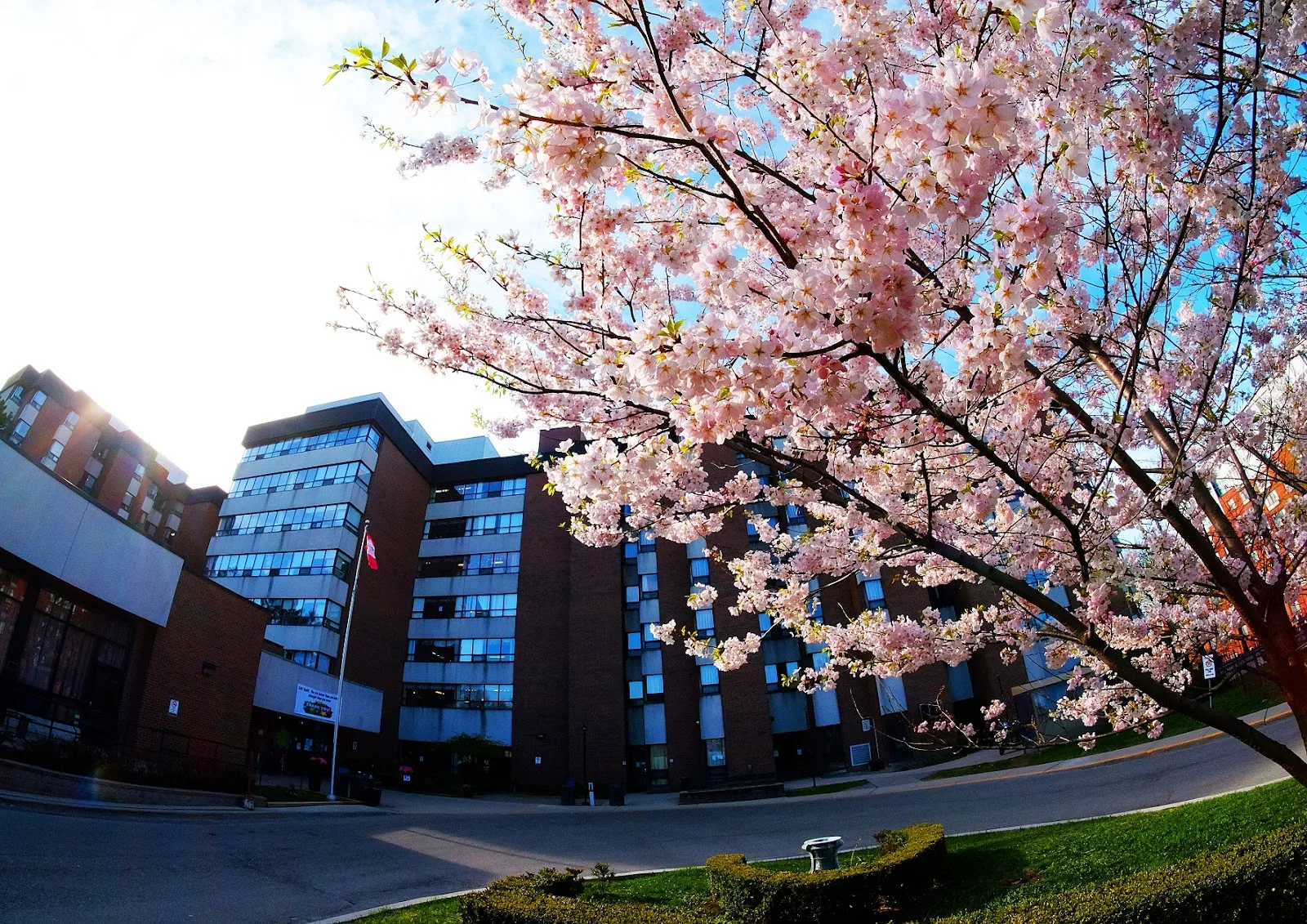 Castleview Wychwood Towers Long-Term Care Home (City of Toronto)