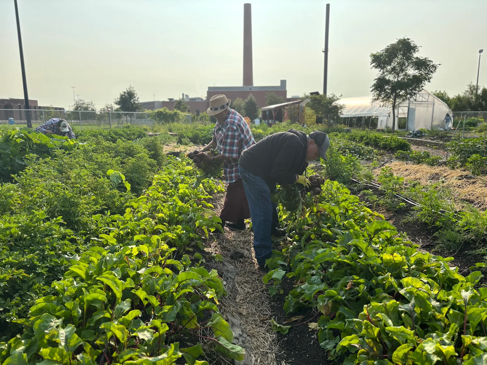 Little Village Environmental Justice Organization