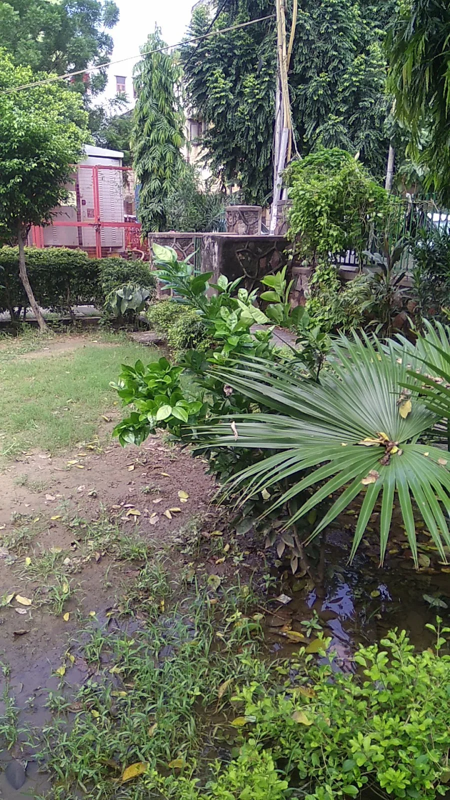 Shri Radha Krishna Park
