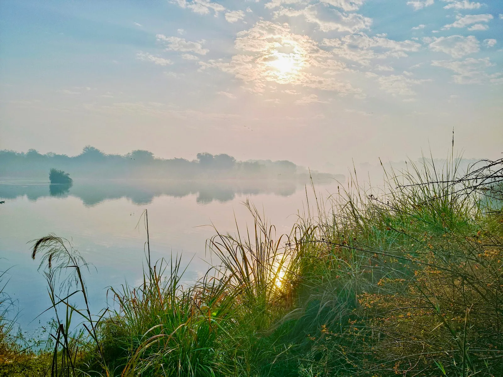 Yamuna Biodiversity Park