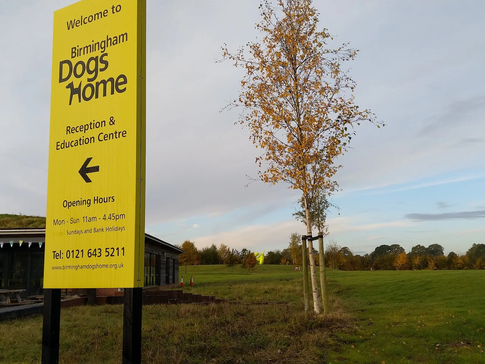 Birmingham Dogs Home