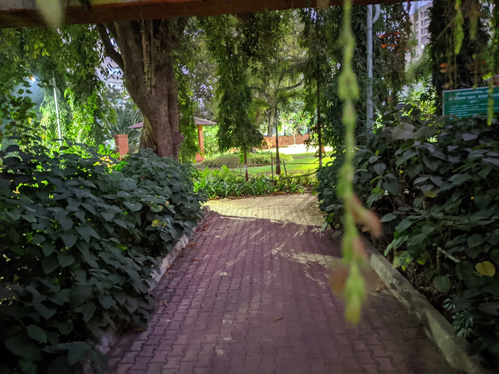 TMC Biodiversity Park