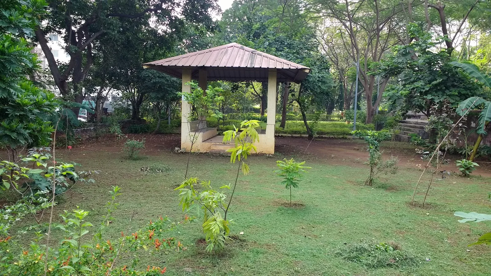 TMC Biodiversity Park