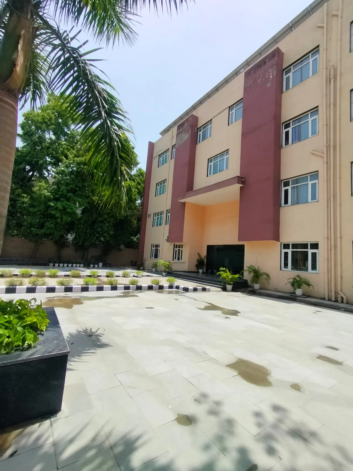 District Institute of Education and Training