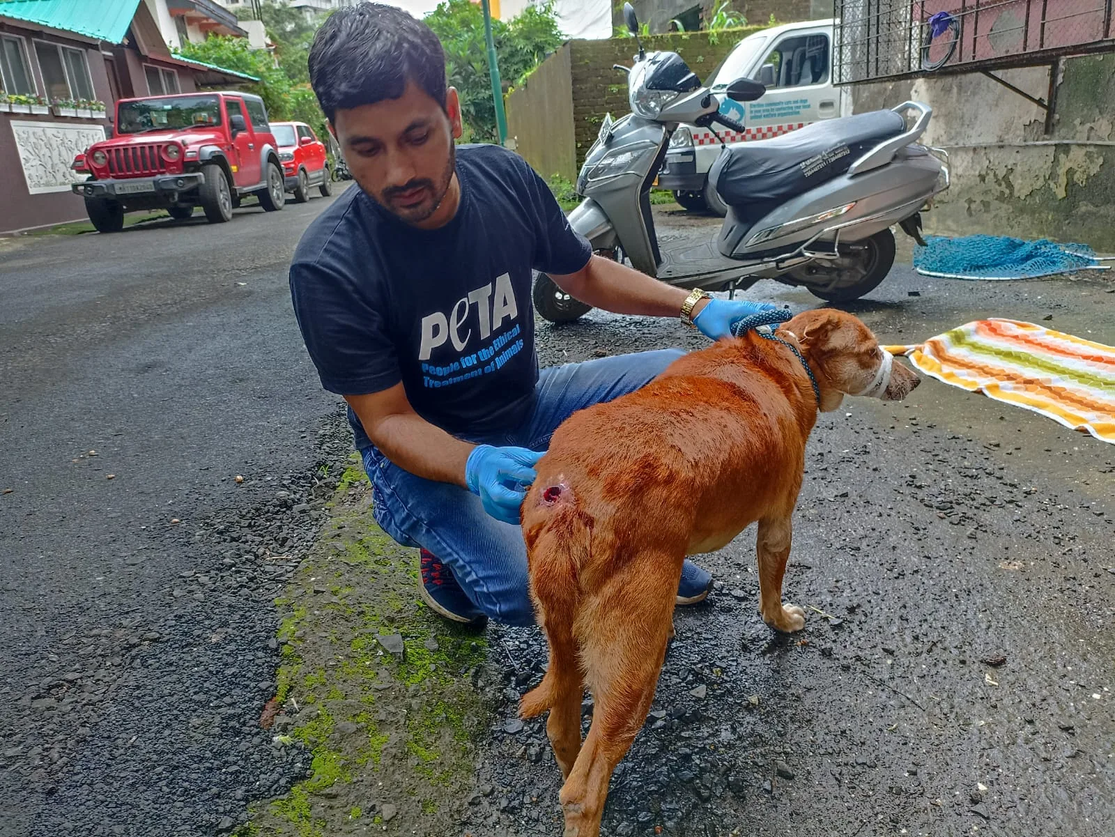 Peta India