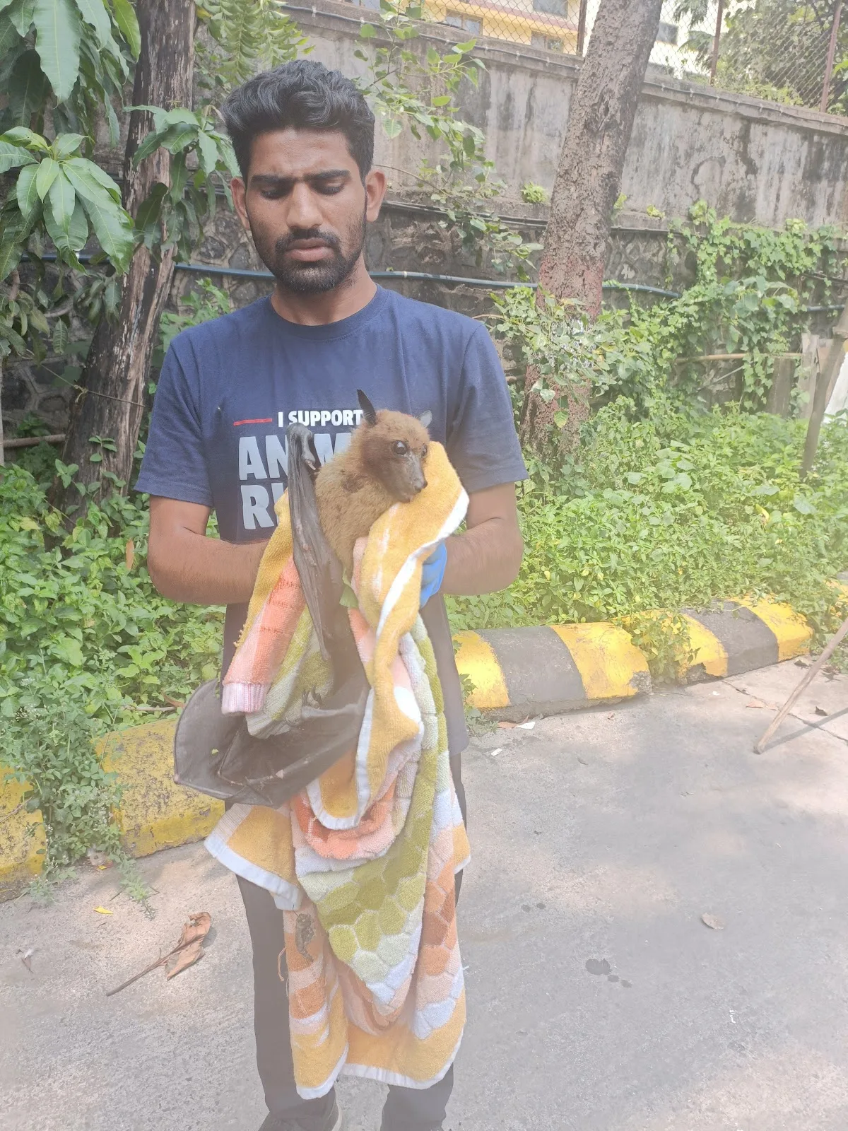 Peta India