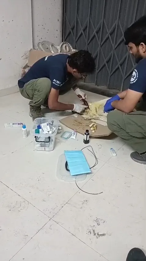 Peta India