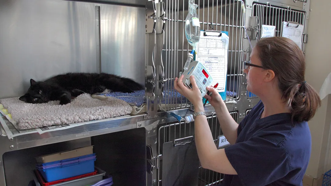 RSPCA Newbrook Farm, Animal Centre, Hospital, Education Centre