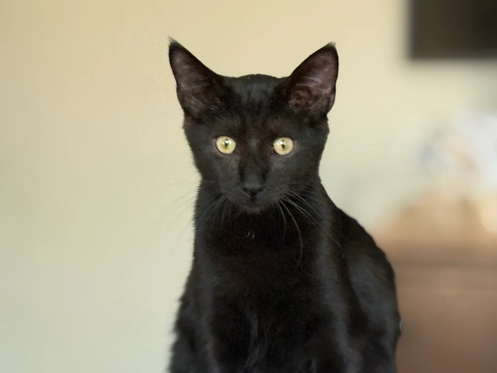 West Suburban Humane Society