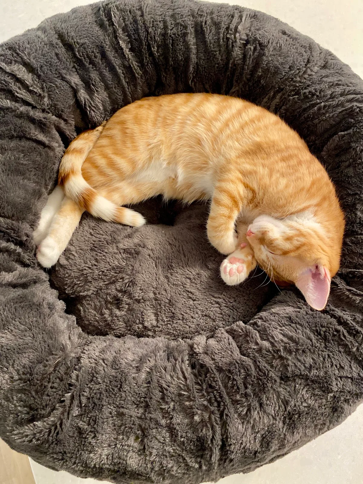 West Suburban Humane Society