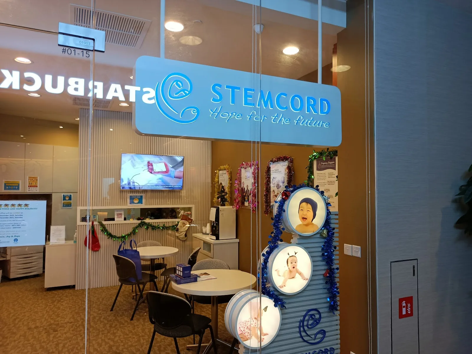 Stemcord