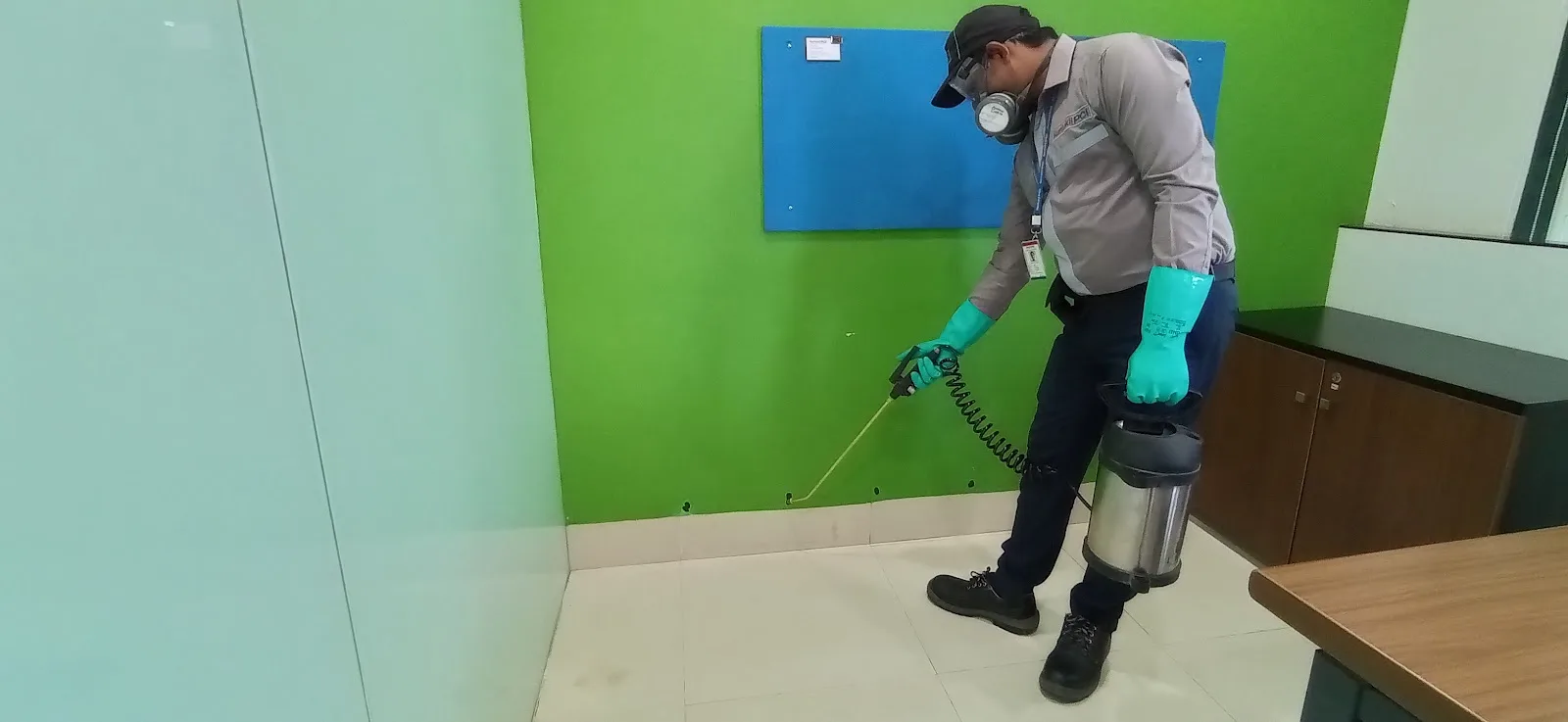 Rentokil PCI Pest Control Service