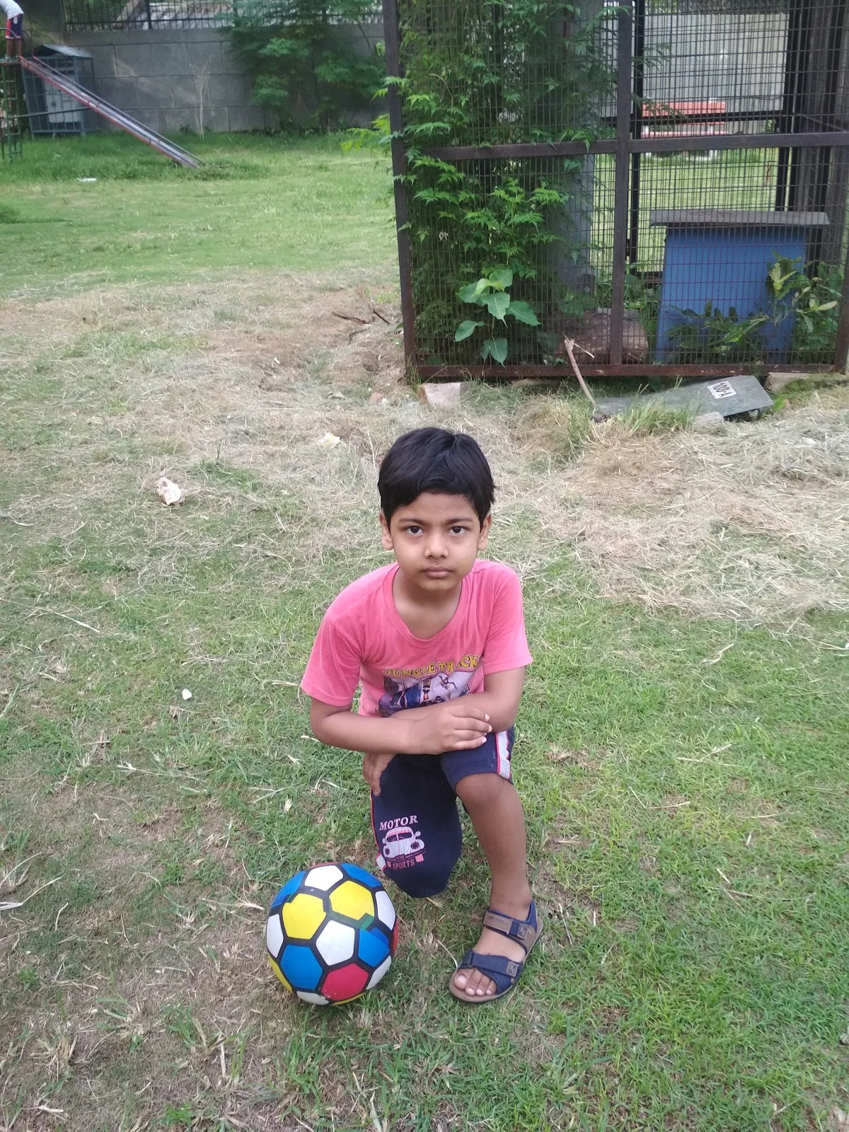 Gol Park
