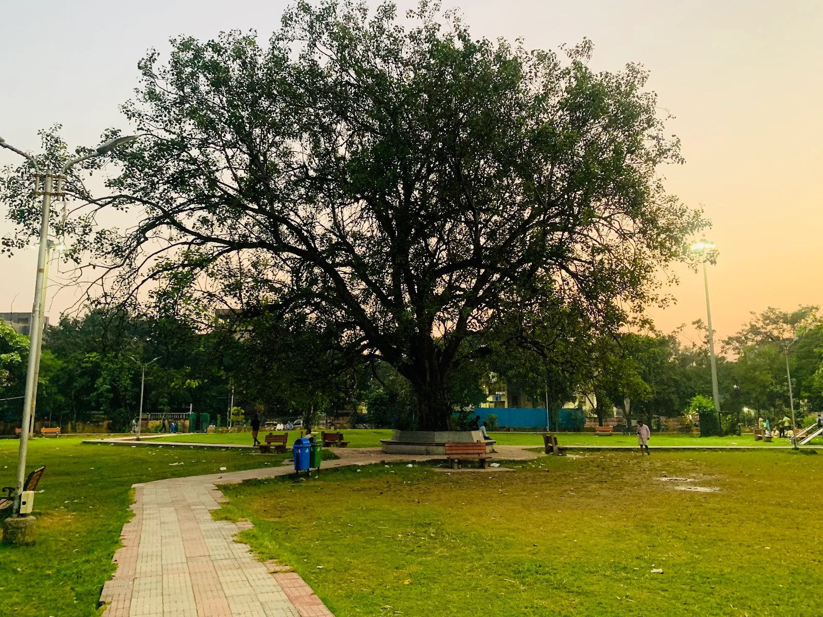 Gol Park