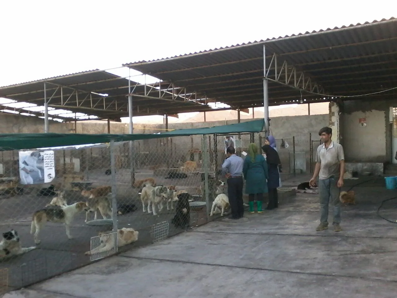 Omid Animal Shelter
