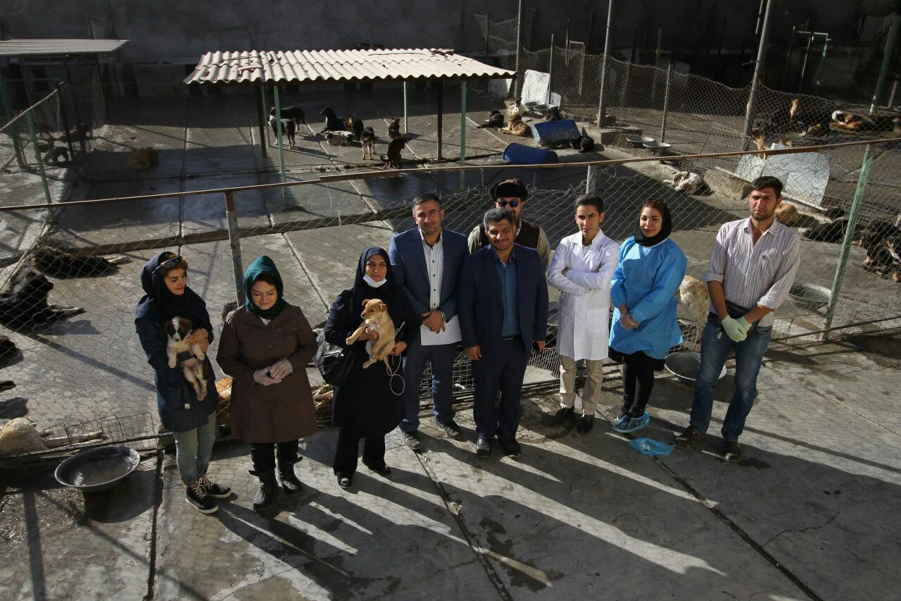 Omid Animal Shelter