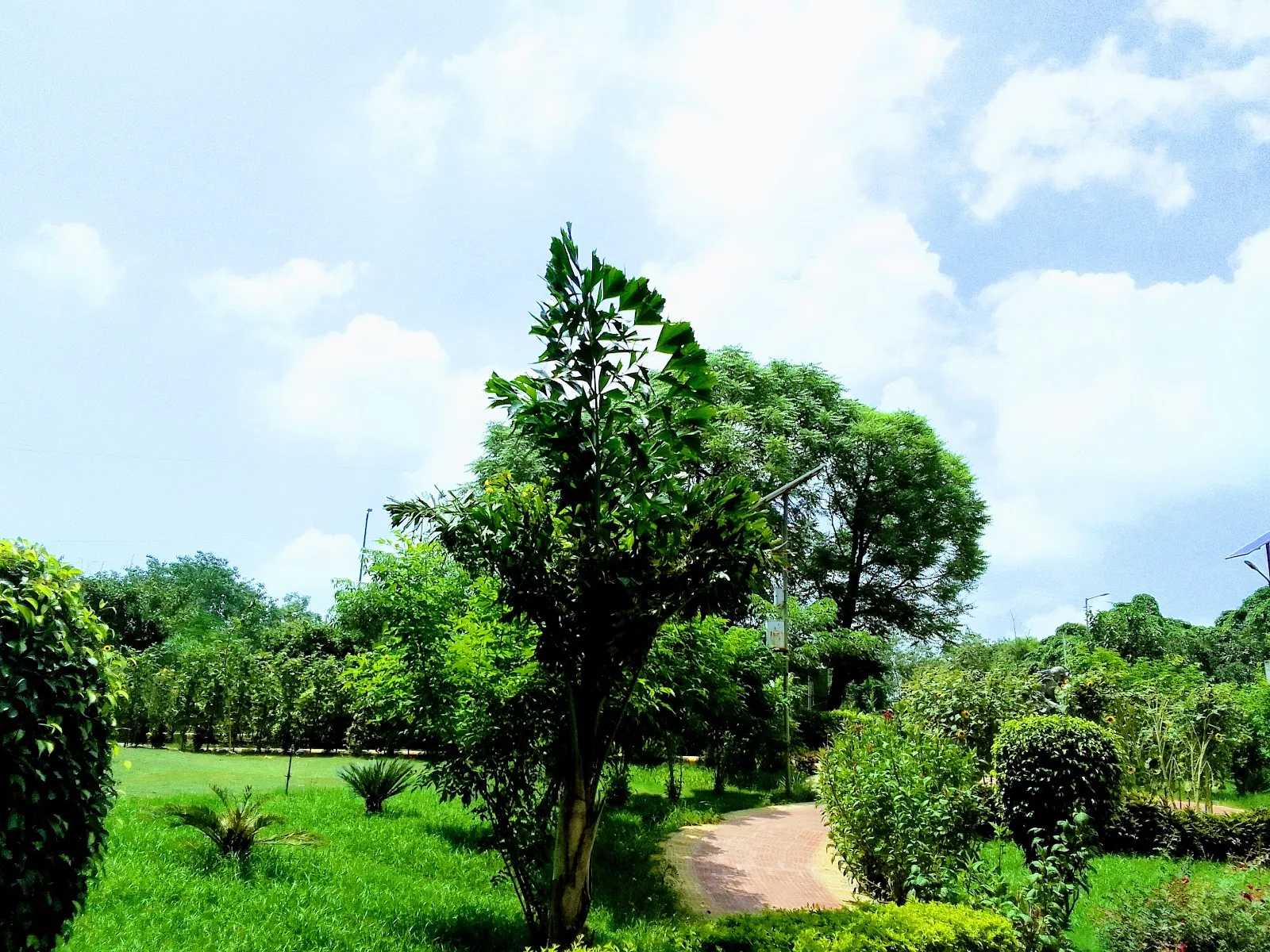 Indian Sign Language Research And Training Centre