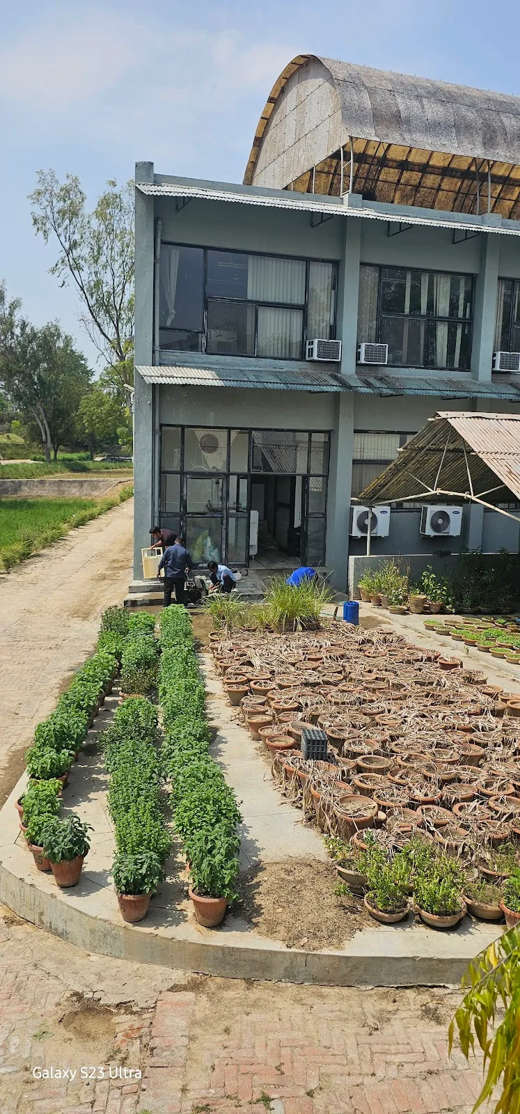 Development Foundation