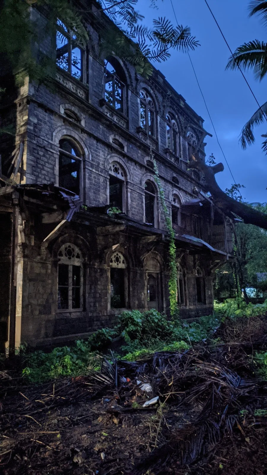 The Bai Sakarbai Dinshaw Petit Hospital for Animals