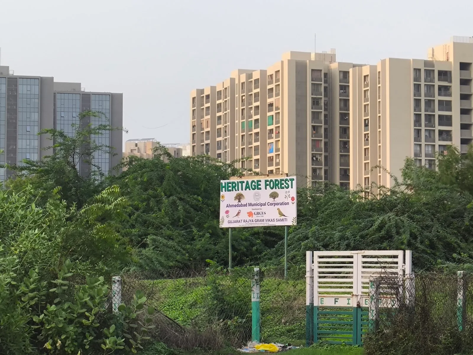 GUJARAT RAJYA GRAM VIKAS SAMITI