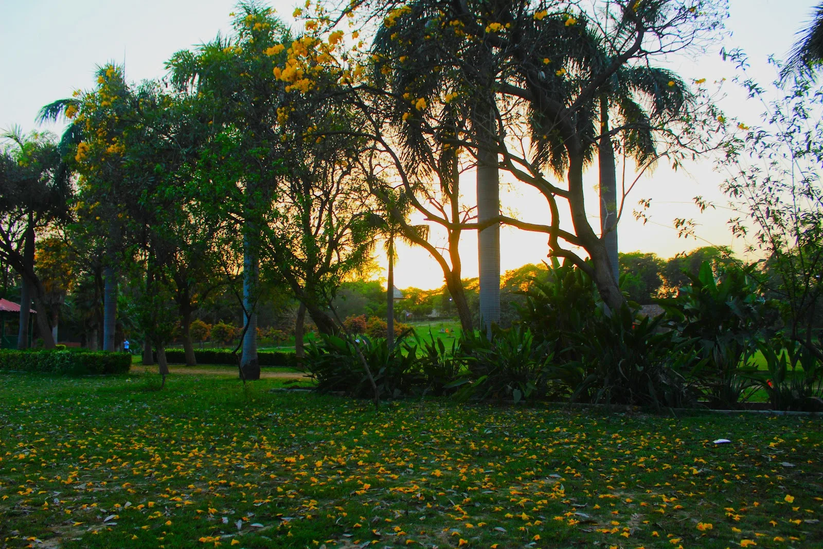 Talkatora park