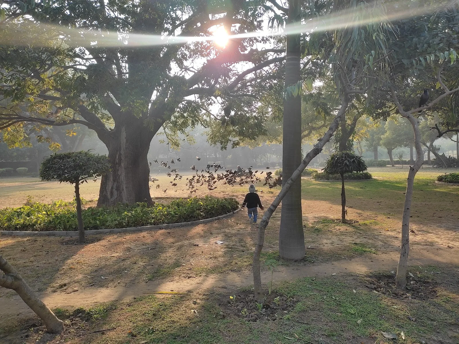 Talkatora park