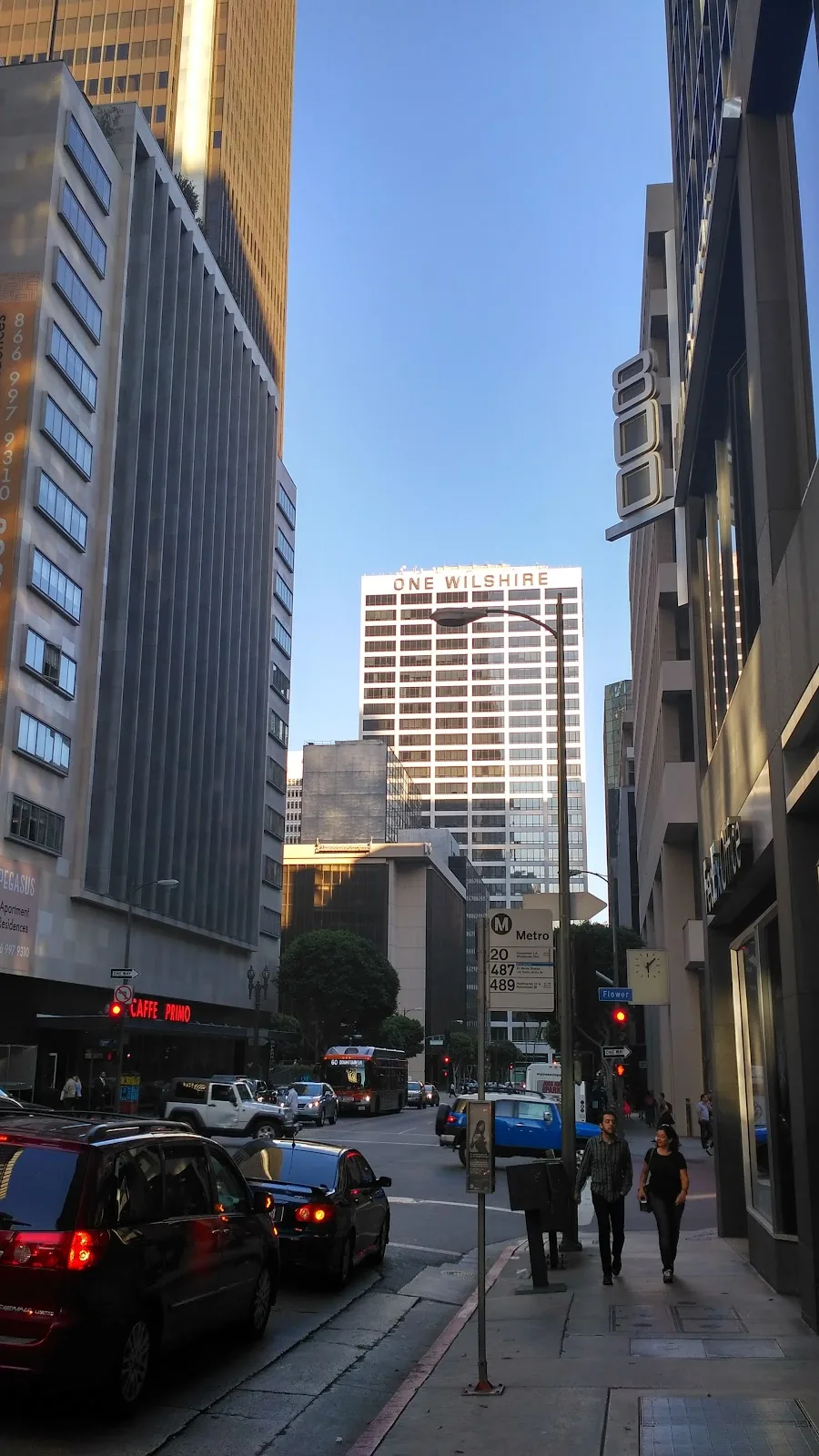 The Los Angeles Homeless Services Authority (LAHSA)
