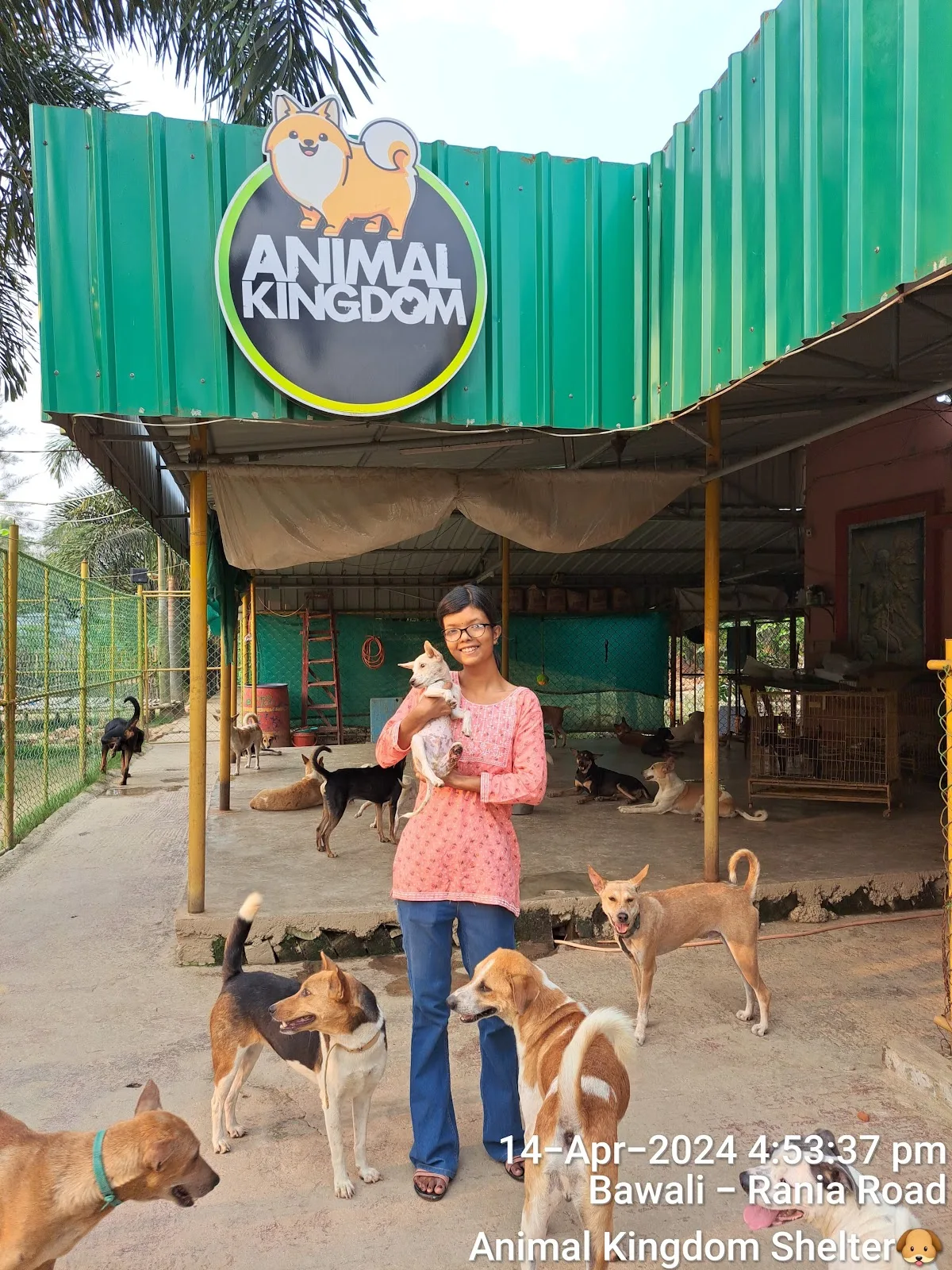 Animal Kingdom Shelter