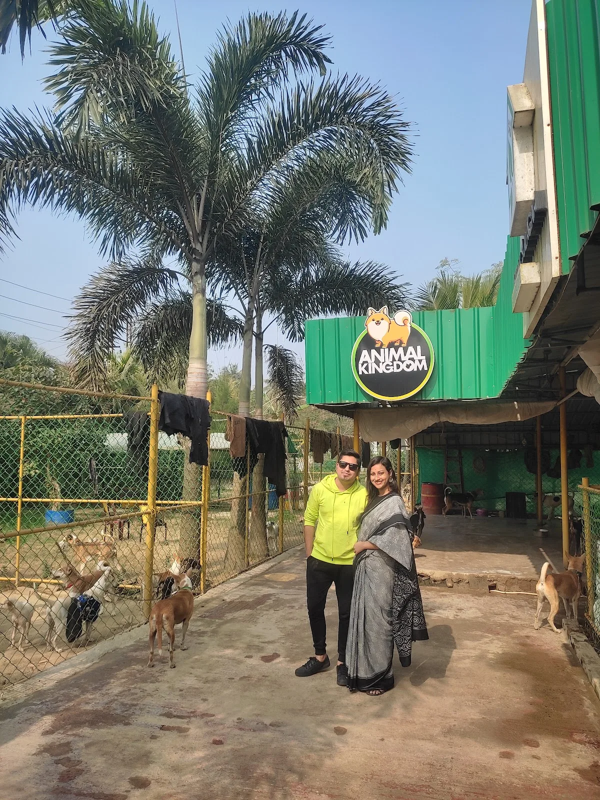 Animal Kingdom Shelter
