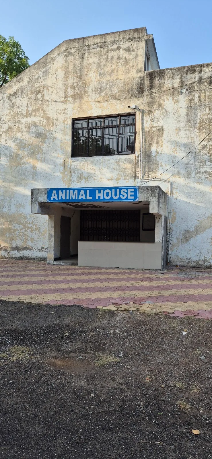Animal House - GAU