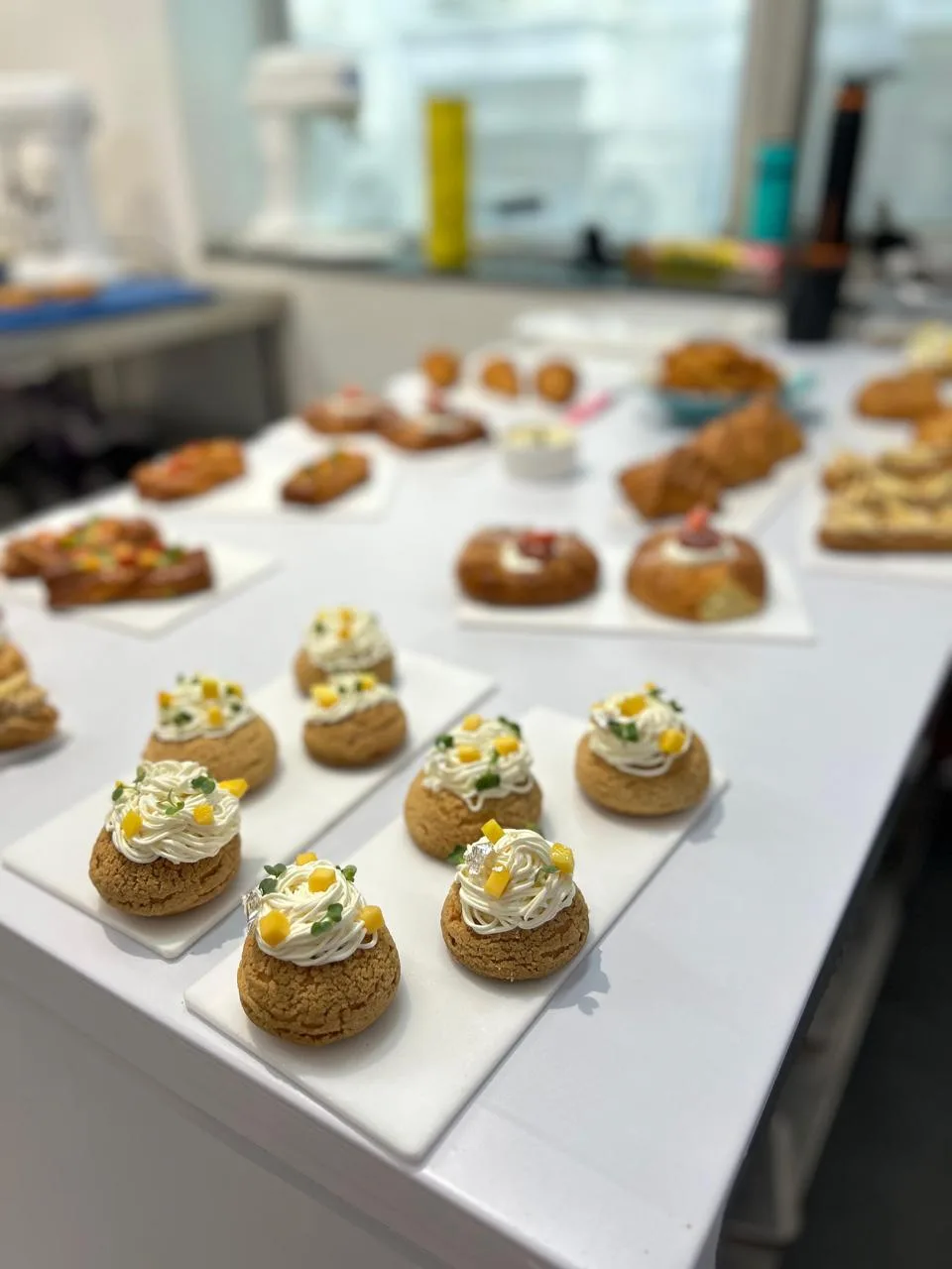 Tedco Global Chefs Academy (TGCA)