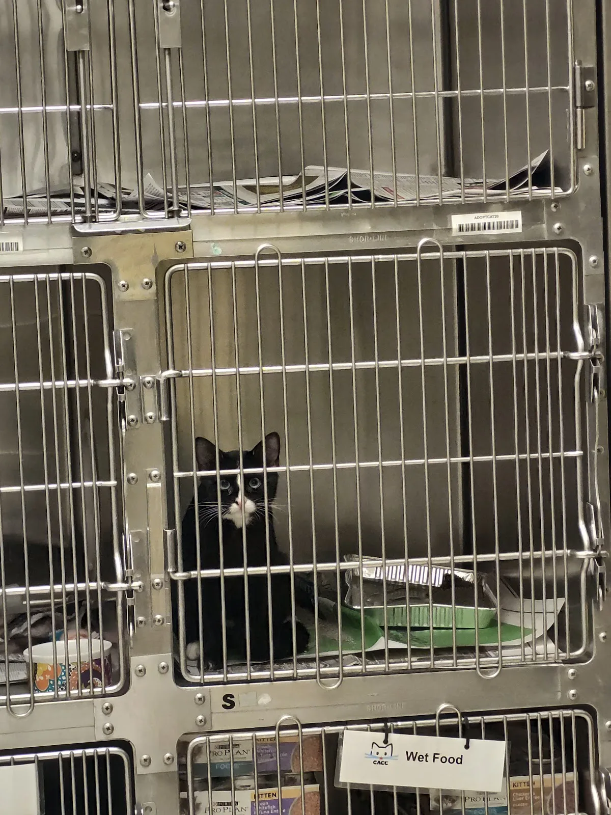 Chicago Animal Care and Control