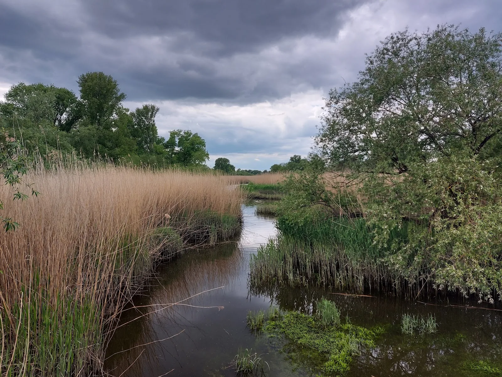 Heuckenlock Nature Reserve