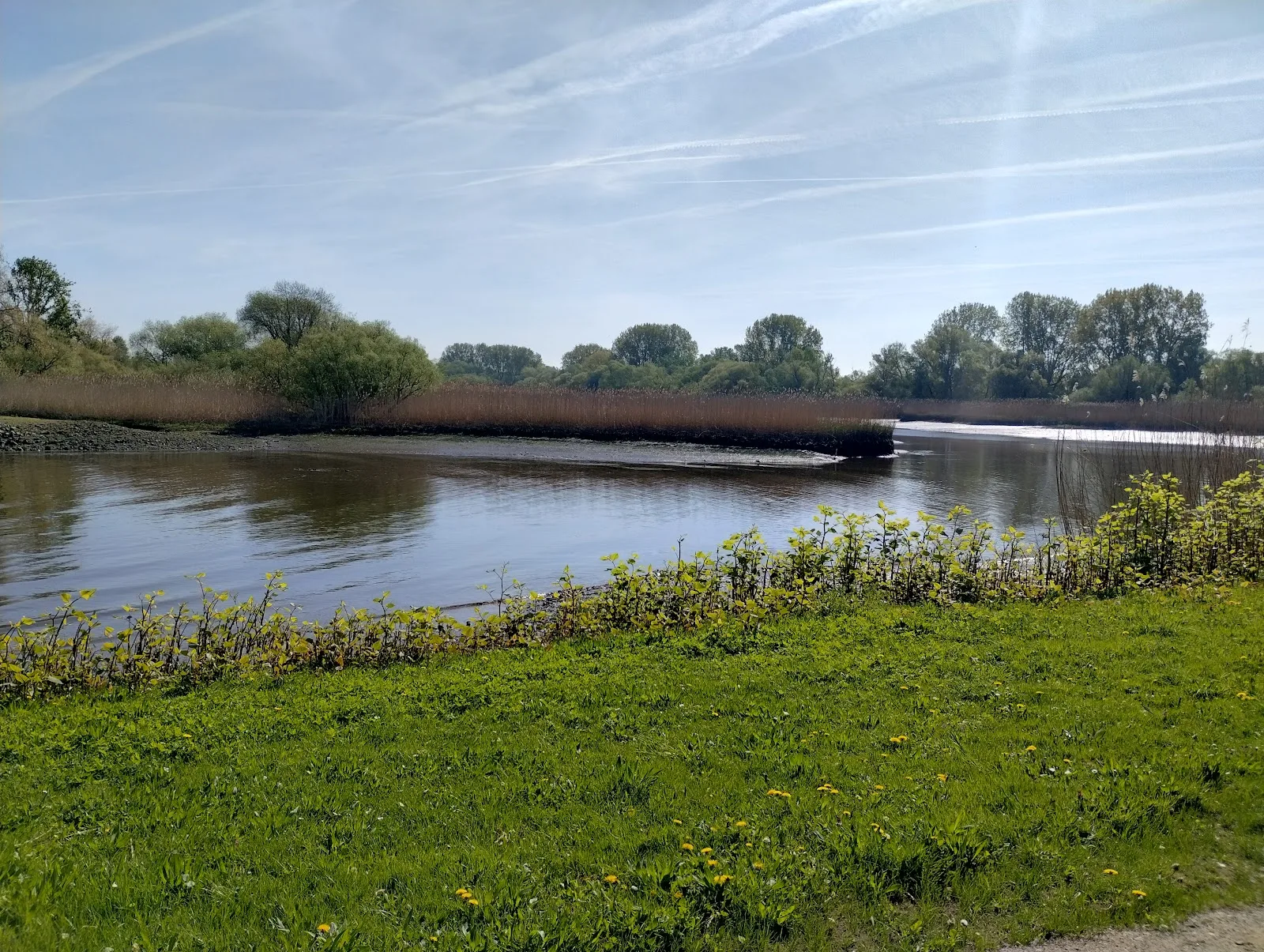 Heuckenlock Nature Reserve
